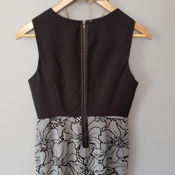 The Limited Dress - Picture 4 of 5